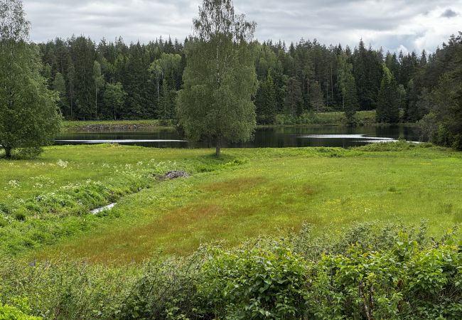 House in Skillingsfors - Very beautifully situated cottage in Skillingsfors |SE18031 House in Skillingsfors - Very beautifully situated cottage in Skillingsfors |SE18031