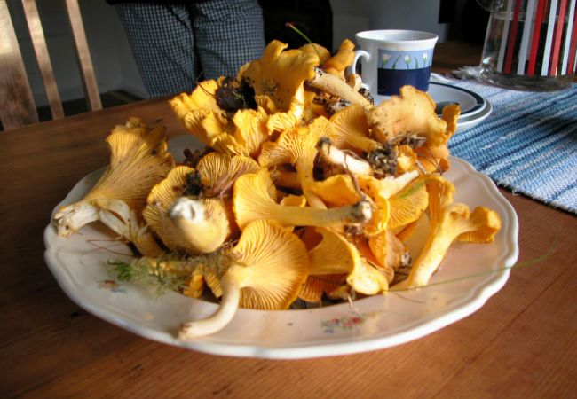 House in Skillingsfors - Secluded Cabin in Beautiful Wilderness, Skillingsfors | SE18032 House in Skillingsfors - Secluded Cabin in Beautiful Wilderness, Skillingsfors | SE18032