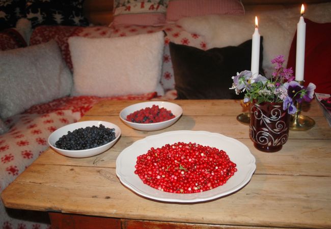 House in Skillingsfors - Secluded Cabin in Beautiful Wilderness, Skillingsfors | SE18032 House in Skillingsfors - Secluded Cabin in Beautiful Wilderness, Skillingsfors | SE18032