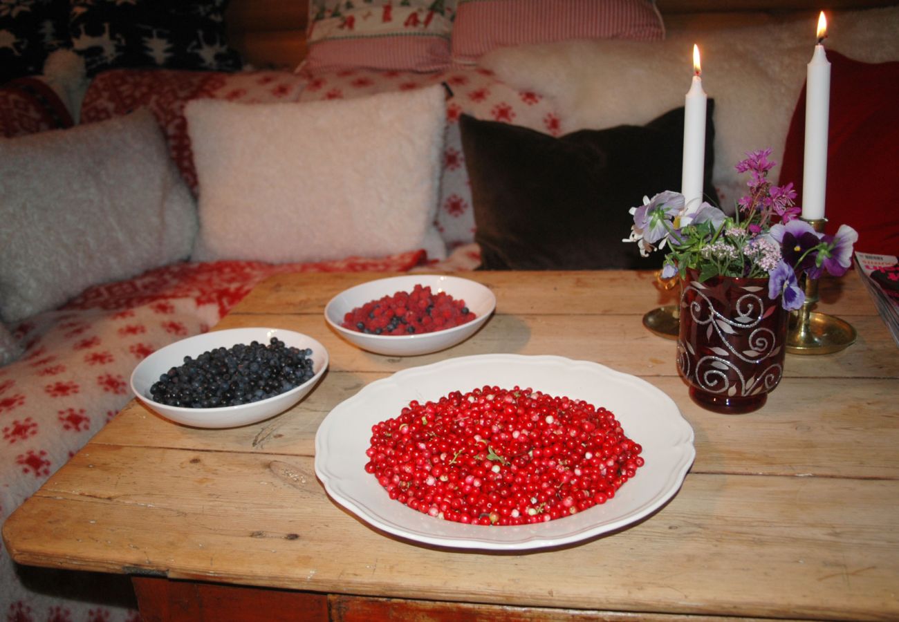 House in Skillingsfors - Secluded Cabin in Beautiful Wilderness, Skillingsfors | SE18032