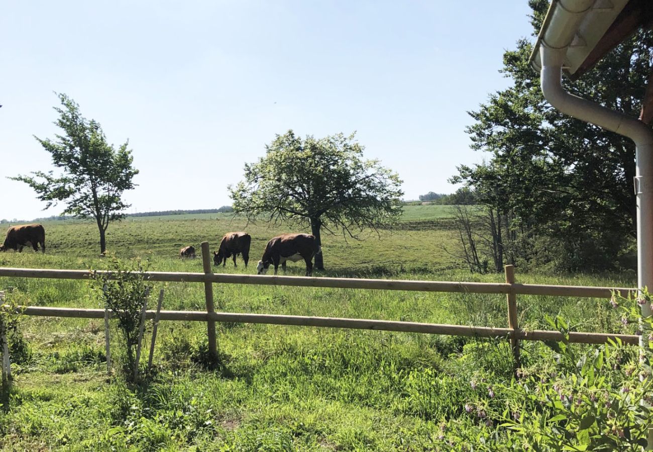 House in Lidköping - Charming and spacious villa near Lidköping |SE08085