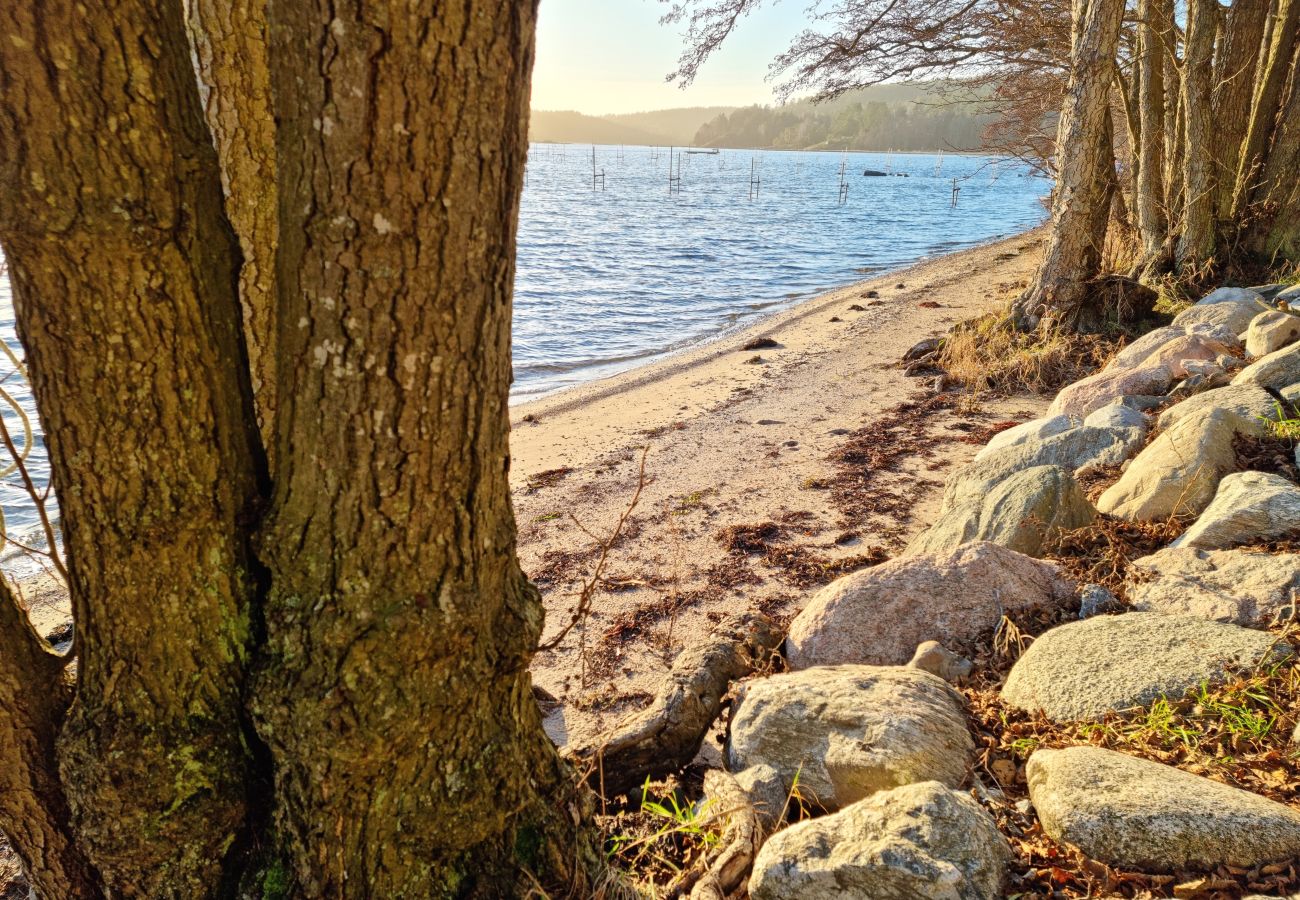 House in Uddevalla - 50m to sandy beach at Kavlanda Brygga | SE09147