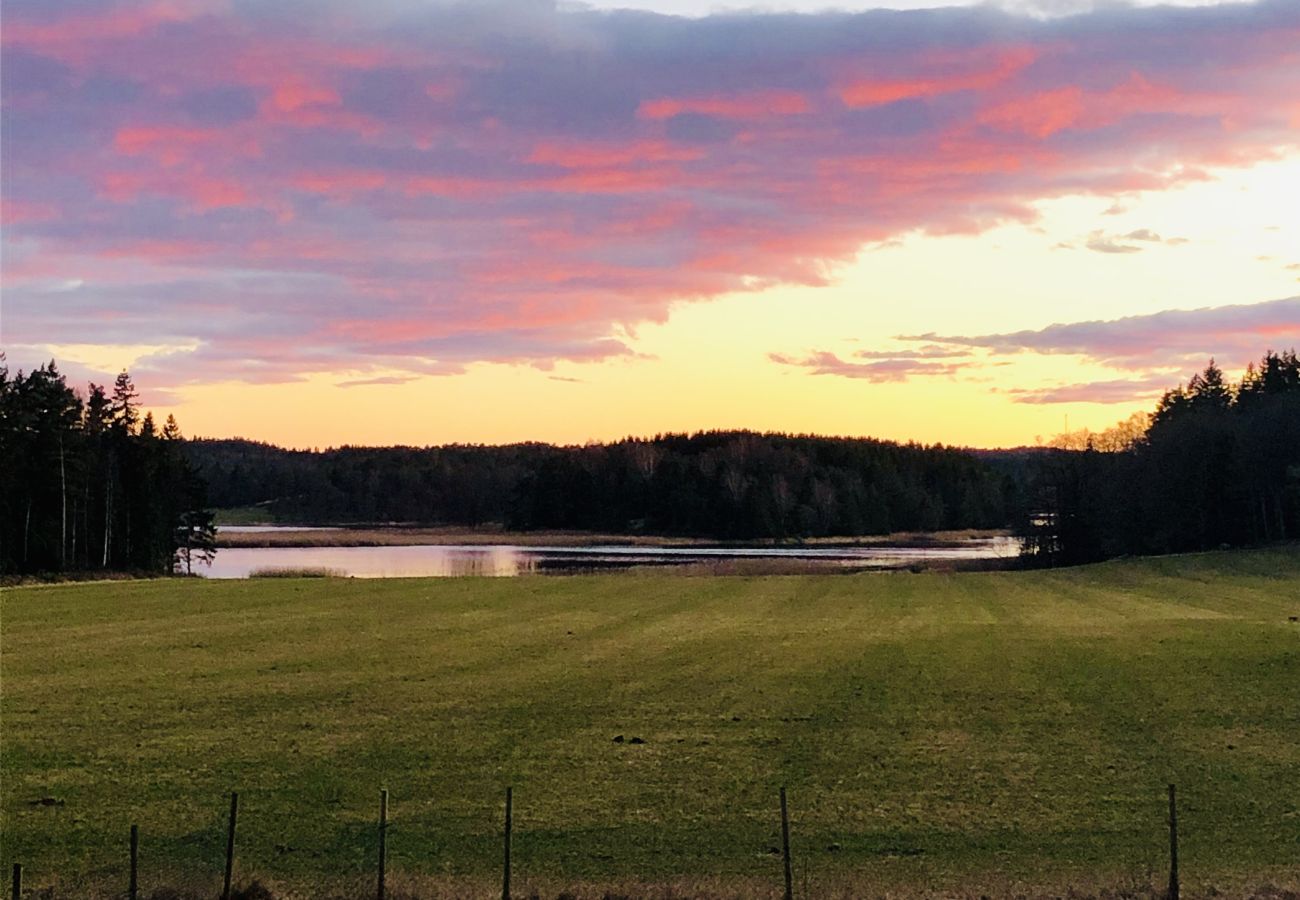 Villa in Svanesund - SE09167