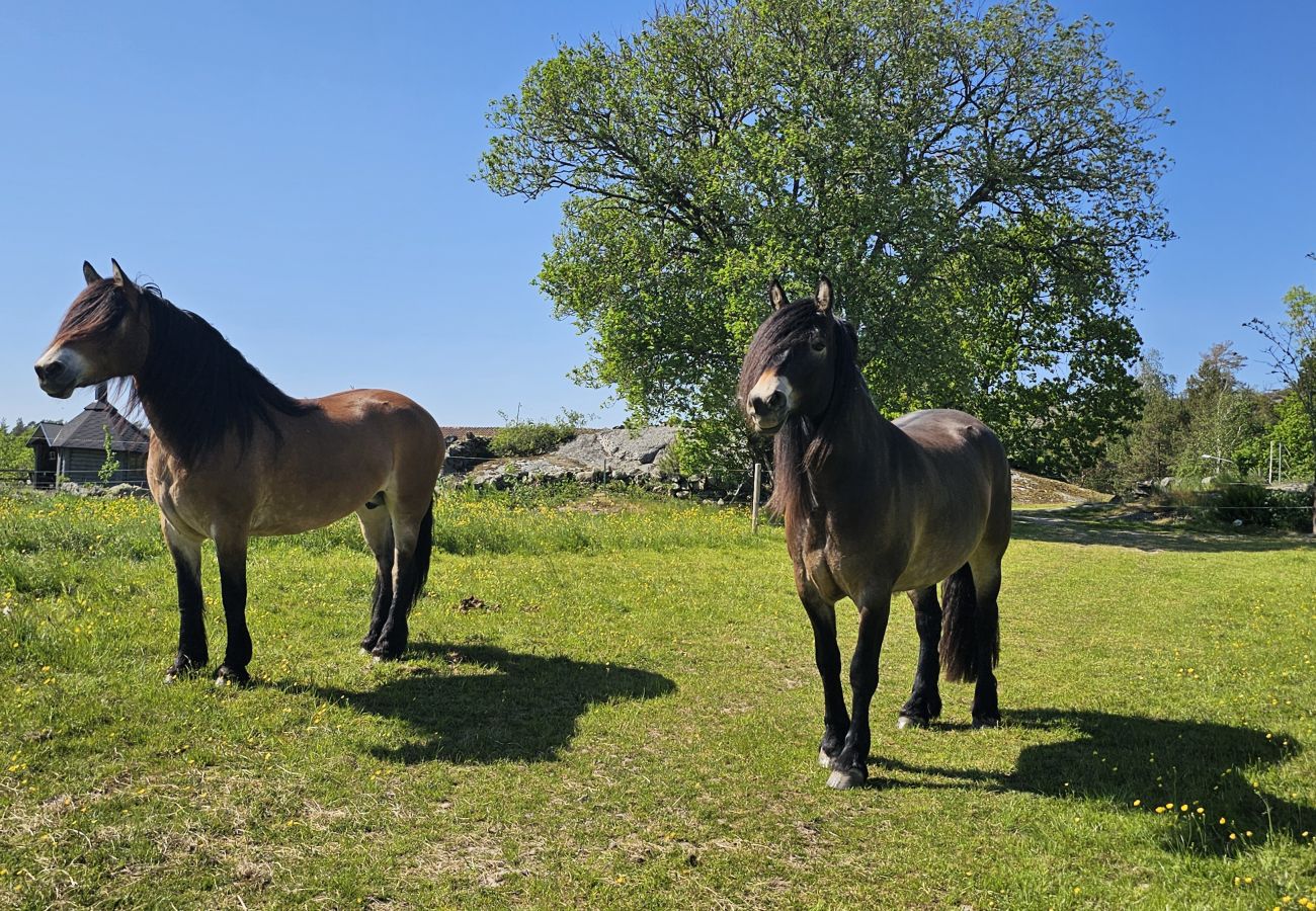 House in Uddevalla - Charming House near Lysekil & Skaftö | SE09160