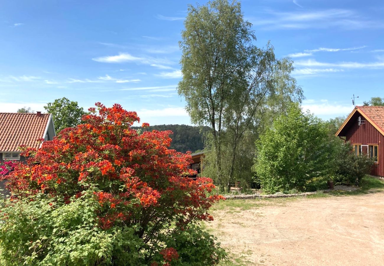 Villa in Henån - Large villa near the lake with rowing boat | SE09131