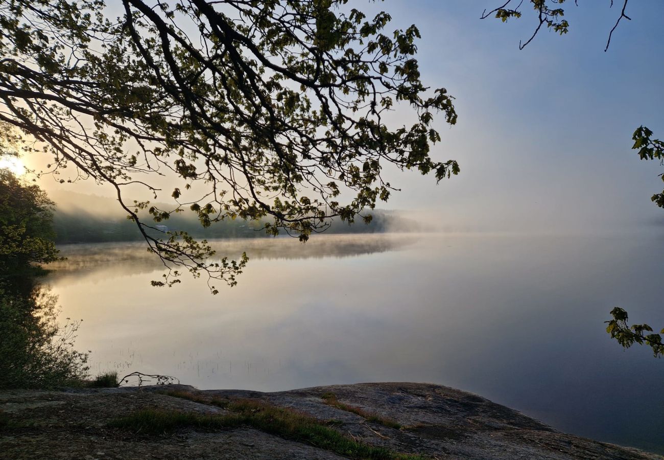 Villa in Henån - Large villa near the lake with rowing boat | SE09131