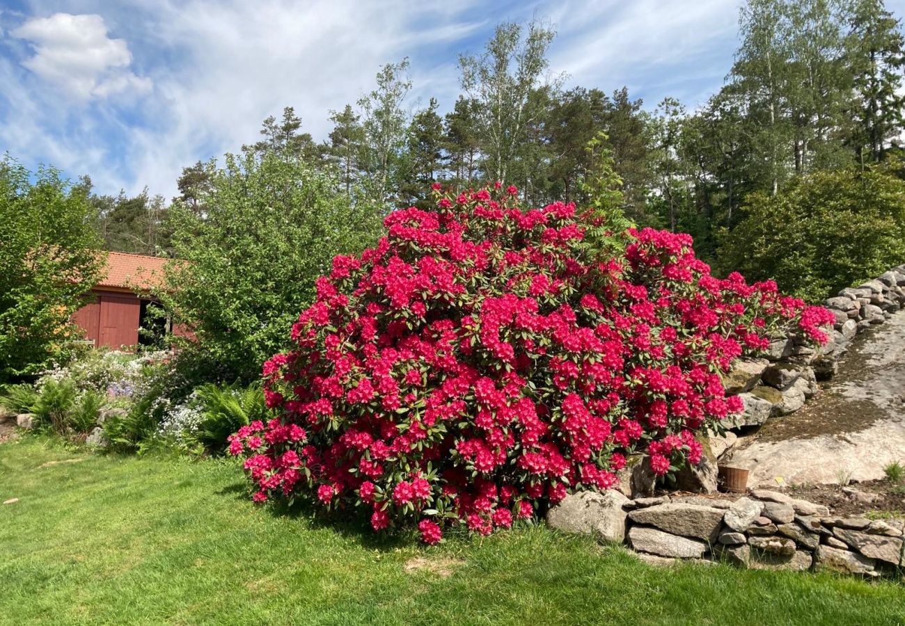 Villa in Henån - Large villa near the lake with rowing boat | SE09131