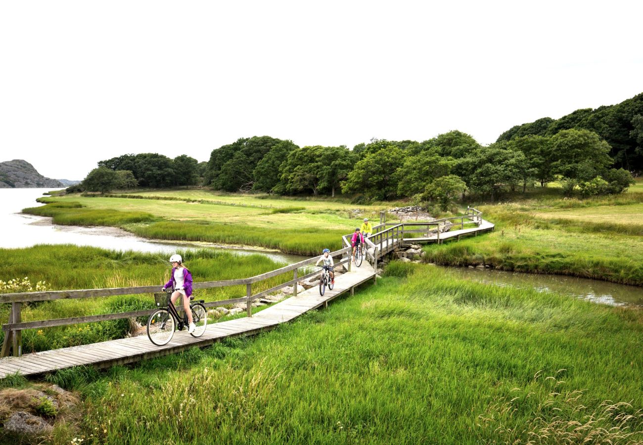 House in Kållekärr - Cottage with conservatory near beach and jetty | SE09159
