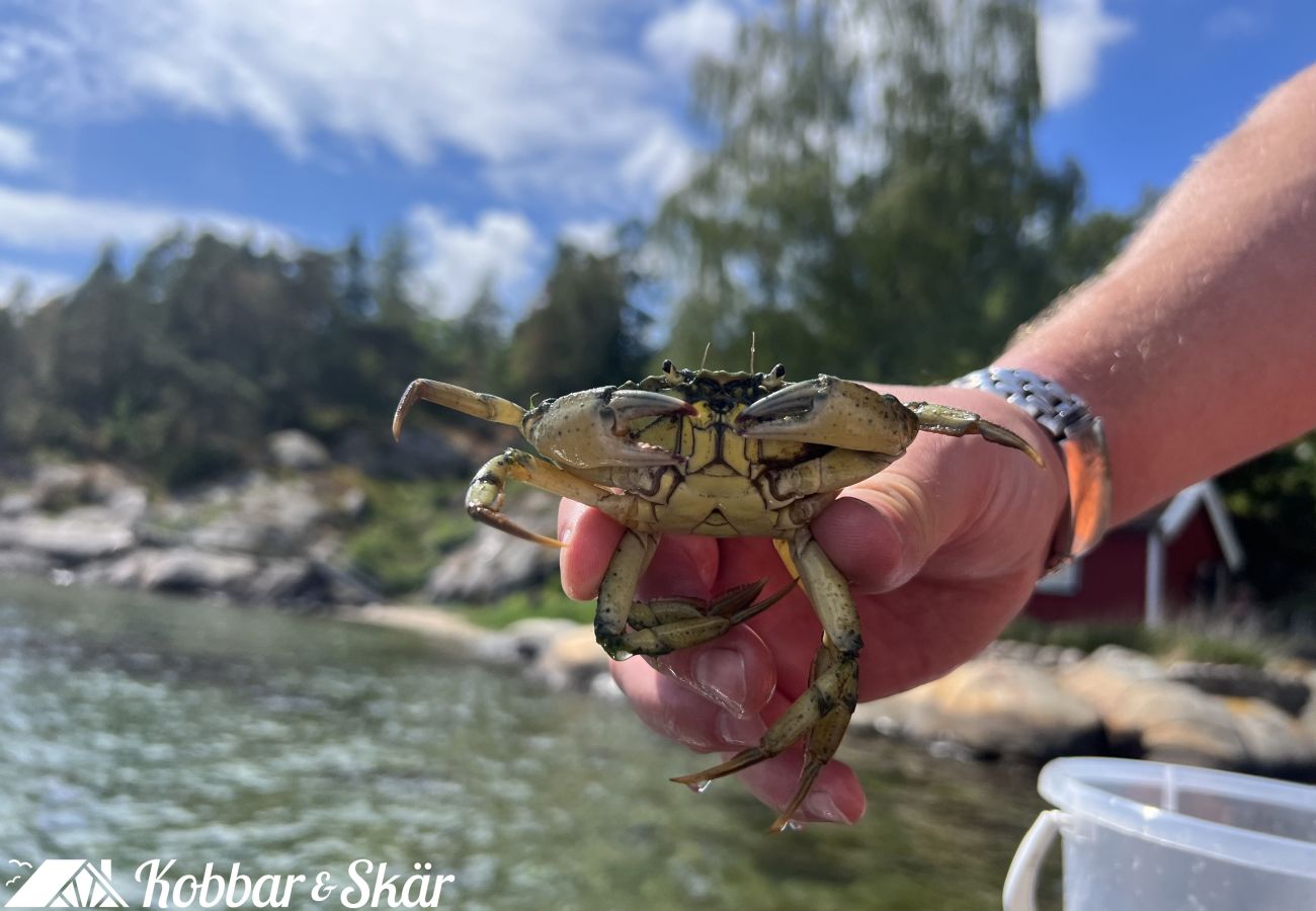 House in Myggenäs - Hundvänlig stuga med båt & privat brygga på Tjörn | SE09170