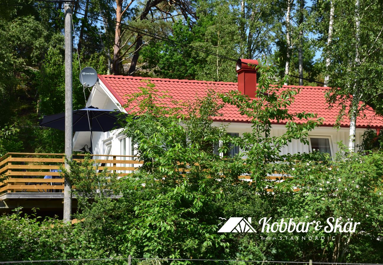 Cottage in Fagerfjäll - Cottage close to nature and the sea | SE09179