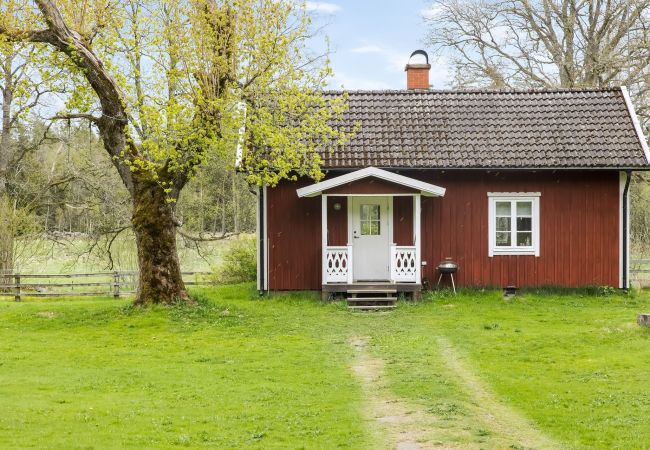 Stuga i Ryssby - Mysig stuga i Ryssby omgiven av naturen | SE06007