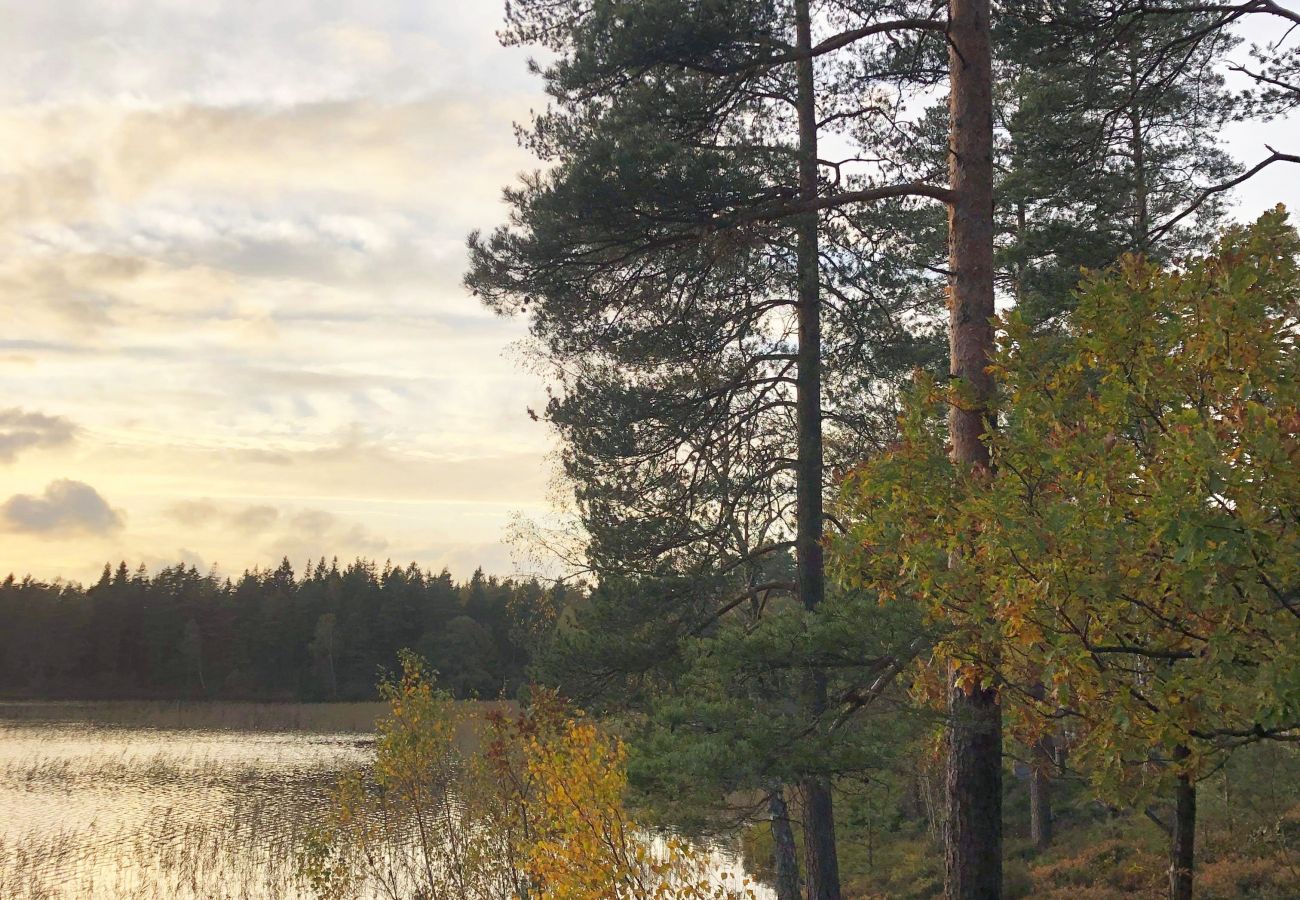 Stuga i Lidhult - Trevligt semesterhus i Grimshult med närhet till Lidhult i Småland | SE06009