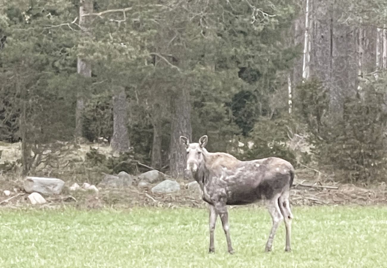 Stuga i Brastad - Naturnära villa i Brodalen, Lysekil