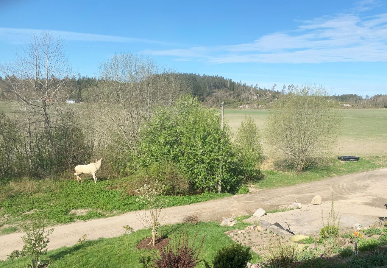 Stuga i Brastad - Naturnära villa i Brodalen, Lysekil