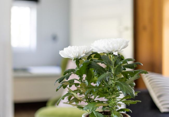 Stuga i Julita - Trevlig stuga i Julita, Katrineholm | SE14002 Stuga i Julita - Trevlig stuga i Julita, Katrineholm | SE14002