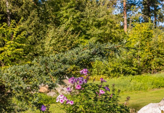 Stuga i Julita - Trevlig stuga i Julita, Katrineholm | SE14002 Stuga i Julita - Trevlig stuga i Julita, Katrineholm | SE14002