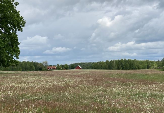 Stuga i Vittaryd - Trevlig stuga i byn Flattinge 9,5 km från Lagan, med utsikt över sjön Flåren | SE06029