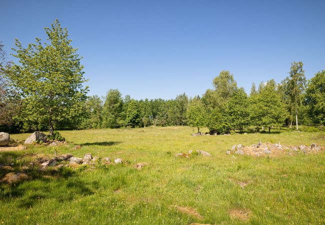 Stuga i Vimmerby - Vackert hus i Vimmerby med bastu | SE05019  Stuga i Vimmerby - Vackert hus i Vimmerby med bastu | SE05019
