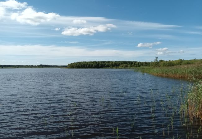 Stuga i Ljungbyhed - StayNordic | Stuga i Ljungbyhed med egen brygga | SE01026 