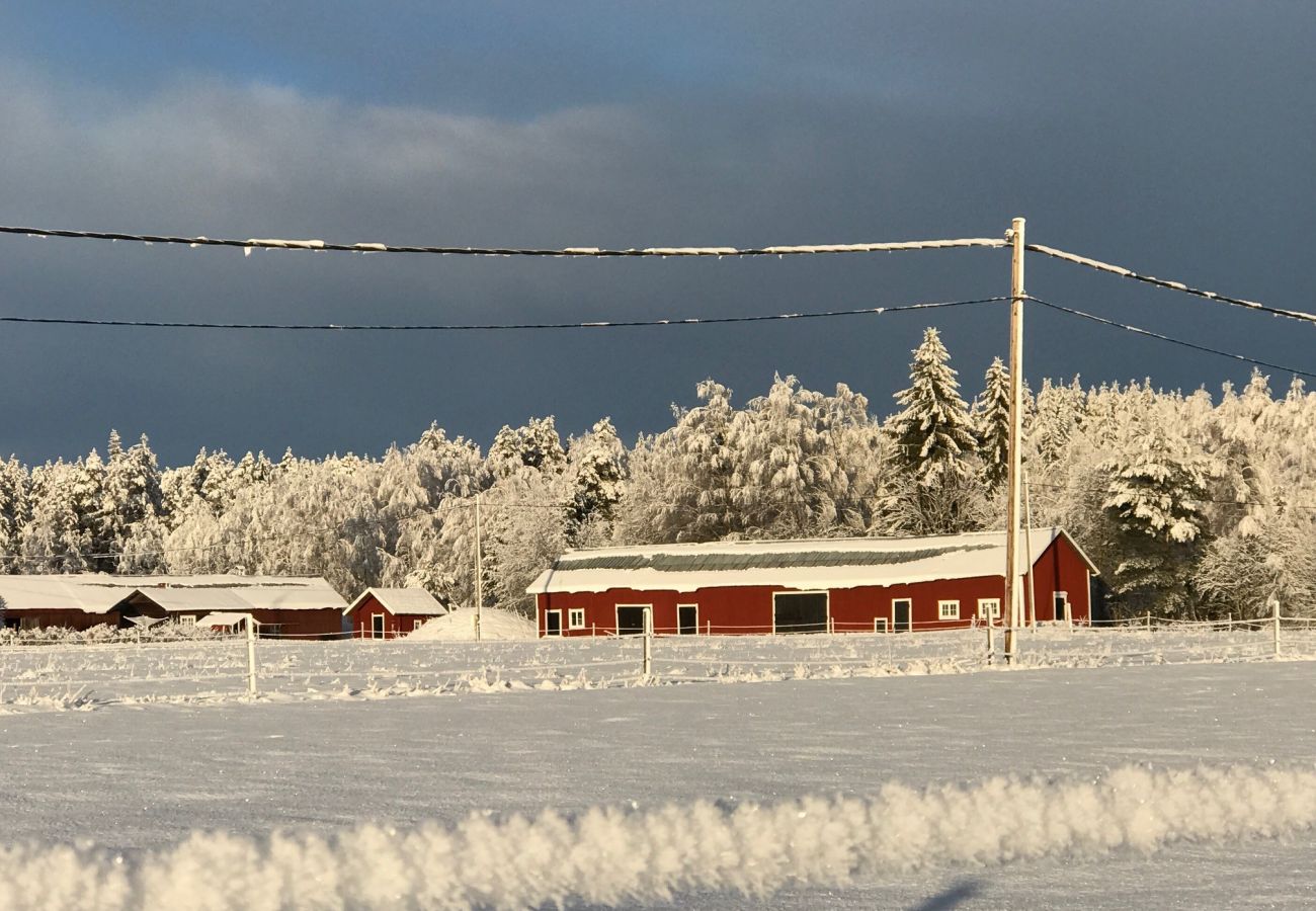 Stuga i Likenäs - Lantlig villa med utsikt över Klarälven nära Branäs | SE18014