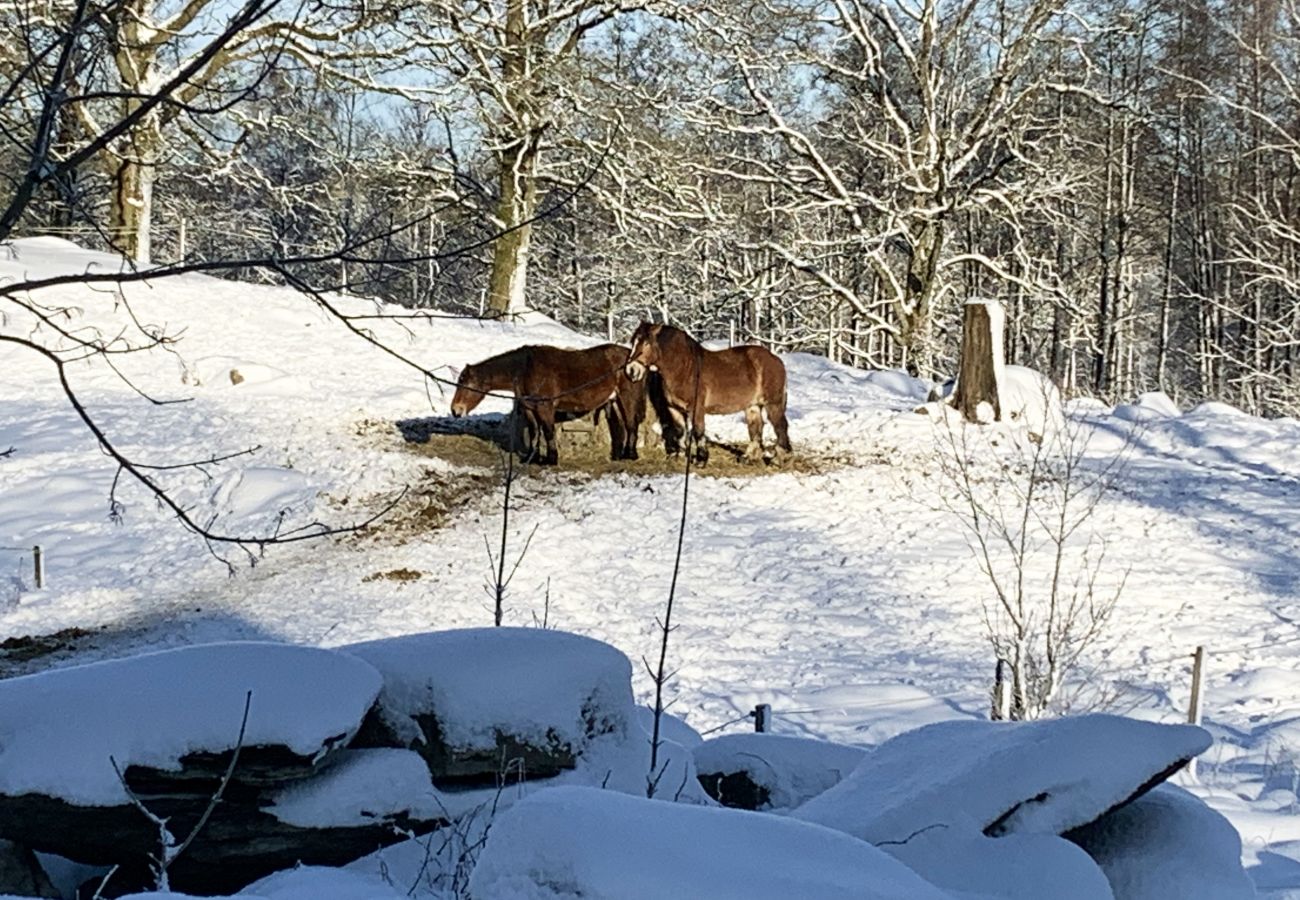 Stuga i Smålandsstenar - Trevlig stuga i Släthult utanför Smålandsstenar | SE07030 