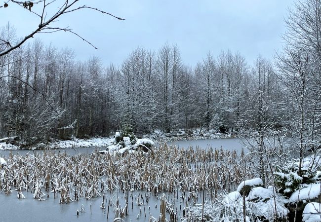 Stuga i Ljungby - Trevlig stuga i Bolmstad utanför Ljungby | SE06050 Stuga i Ljungby - Trevlig stuga i Bolmstad utanför Ljungby | SE06050