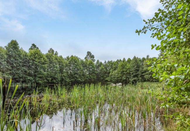 Stuga i Ljungby - Trevlig stuga i Bolmstad utanför Ljungby | SE06050 Stuga i Ljungby - Trevlig stuga i Bolmstad utanför Ljungby | SE06050