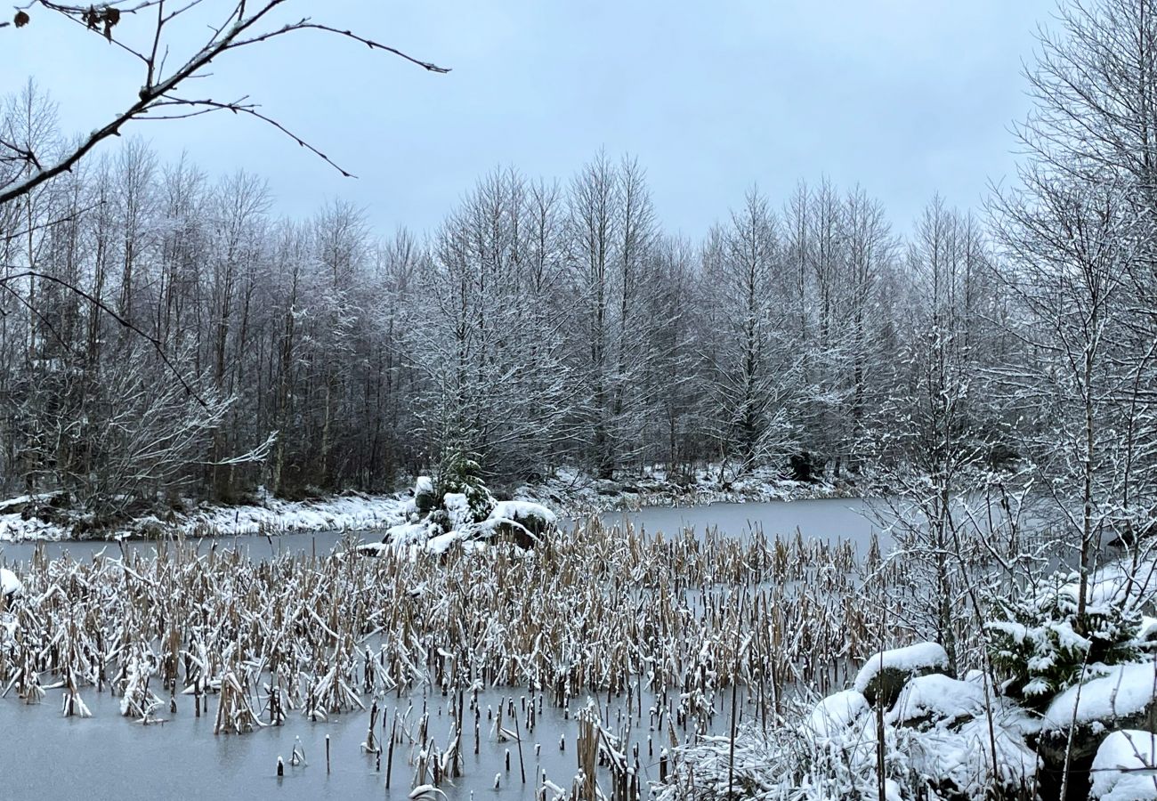 Stuga i Ljungby - Trevlig stuga i Bolmstad utanför Ljungby | SE06050