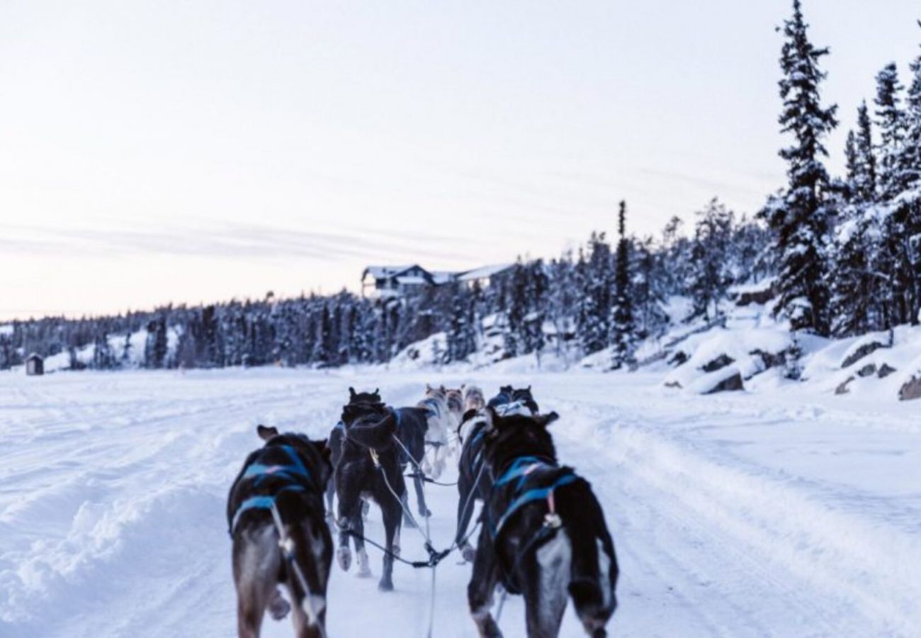 Stuga i Idre - Nybyggd modern stuga nära skidor och golf i Idre, Dalarna | SE19016