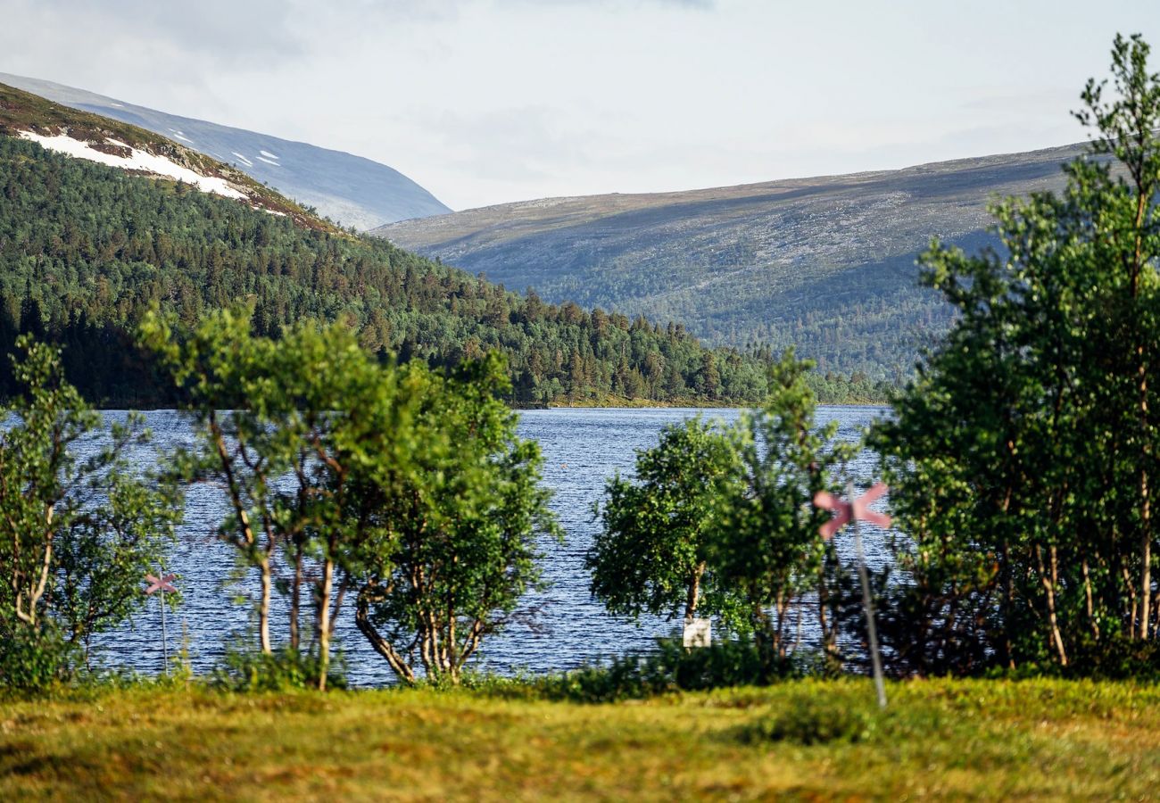 Stuga i Idre - Nybyggd modern stuga nära skidor och golf i Idre, Dalarna | SE19016