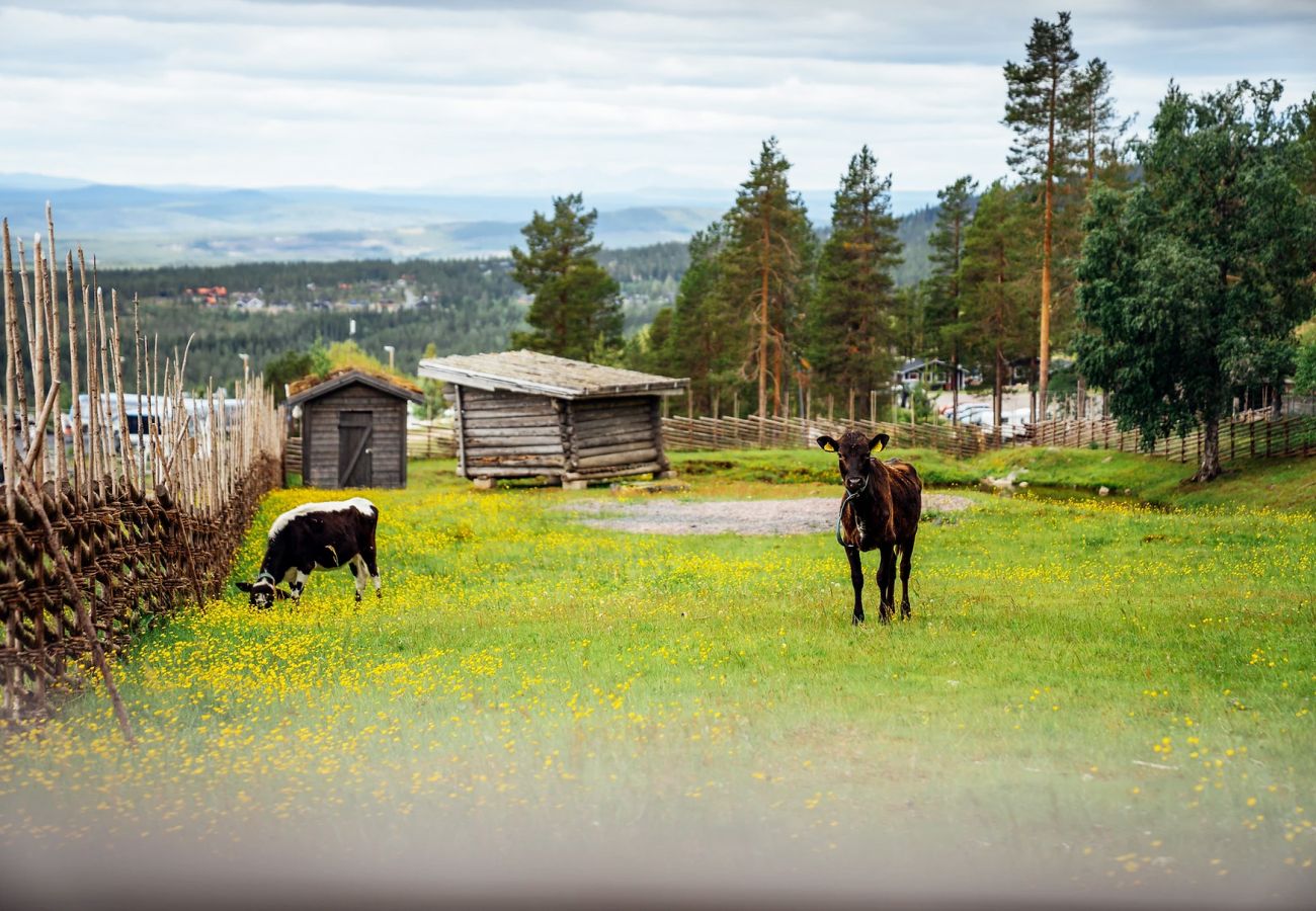 Stuga i Idre - Nybyggd modern stuga nära skidor och golf i Idre, Dalarna | SE19016