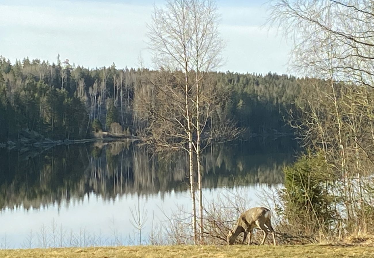 Stuga i Bengtsfors - Trevligt fritidshus i Bengtsfors nära sjö | SE17010