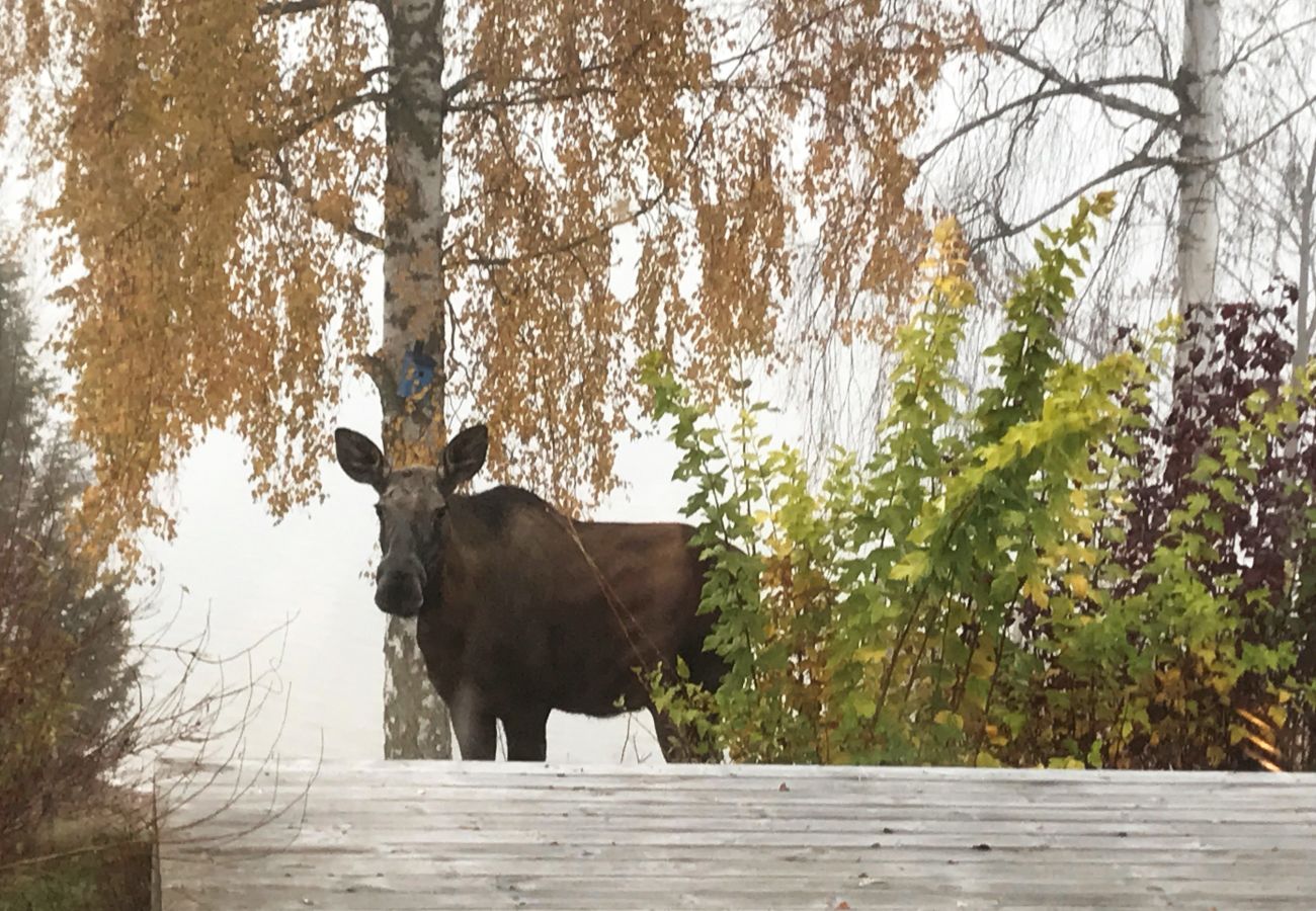 Stuga i Bengtsfors - Trevligt fritidshus i Bengtsfors nära sjö | SE17010