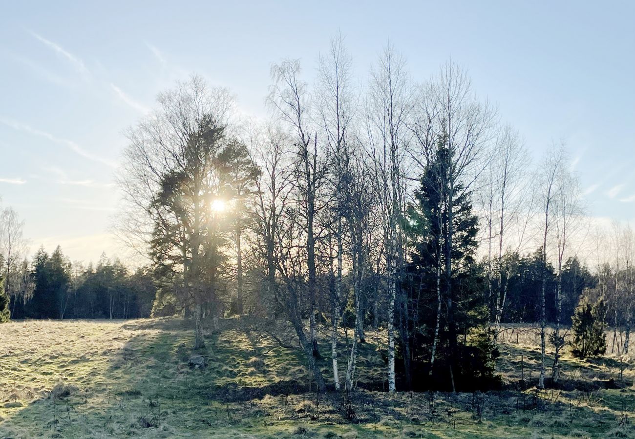 Stuga i Lagan - Semesterhus med enskilt läge vid Skålån utanför Lagan | SE06054