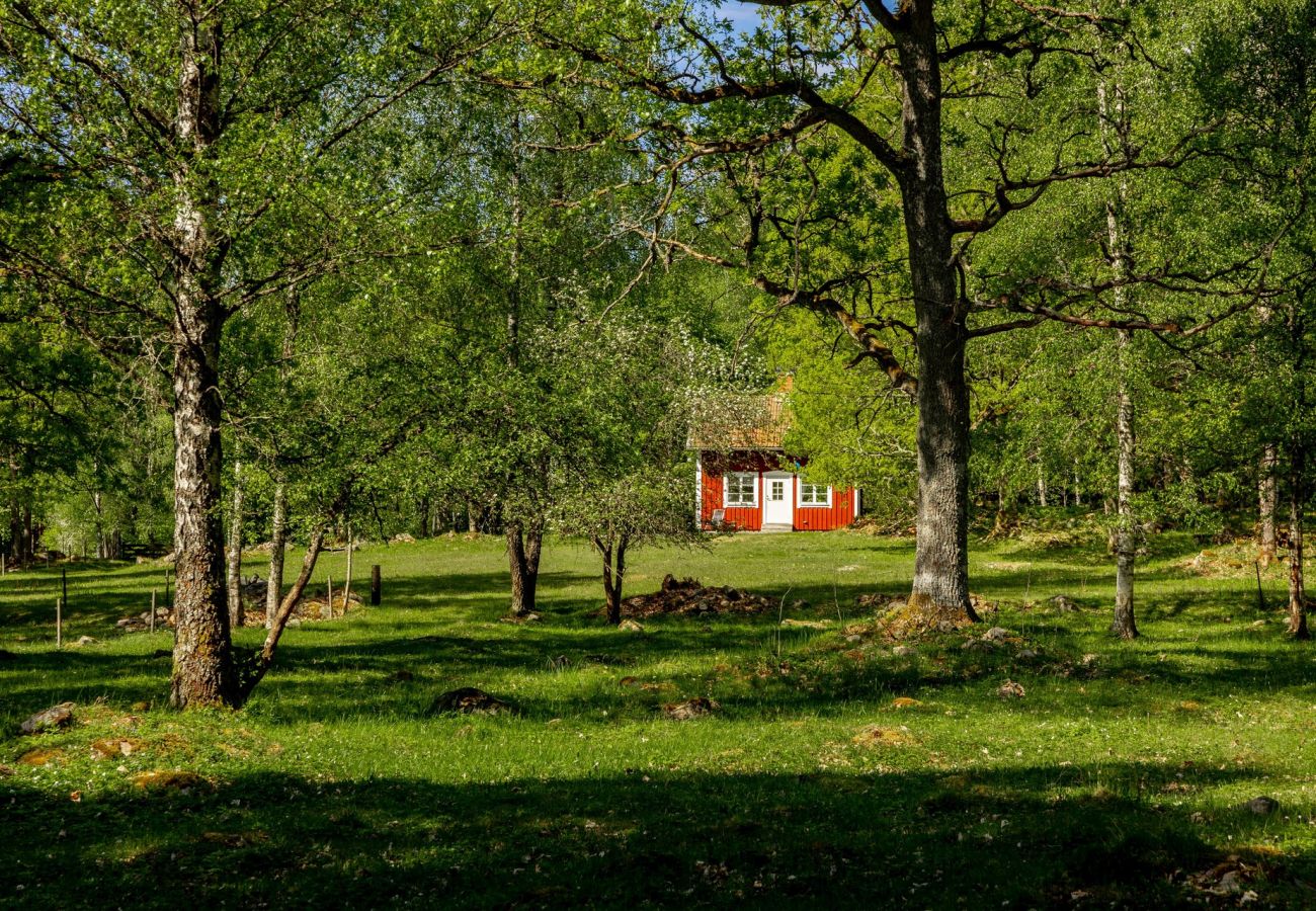 Stuga i Tolg - Trevlig stuga med utsikt över Bergsjön, Tolg | SE06055