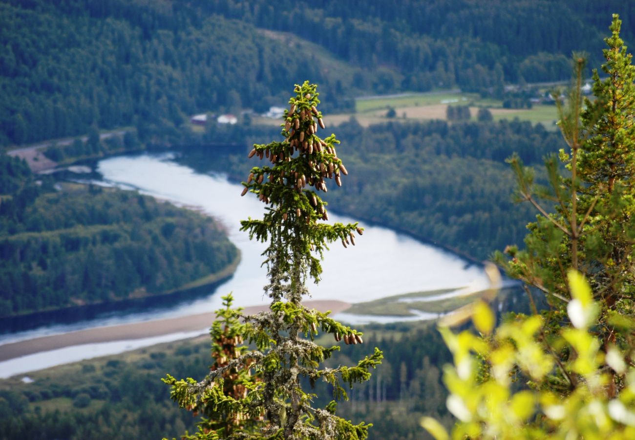 Stuga i Sysslebäck - Vildmarkstuga vid foten av Branäsberget, Sysslebäck | SE18024