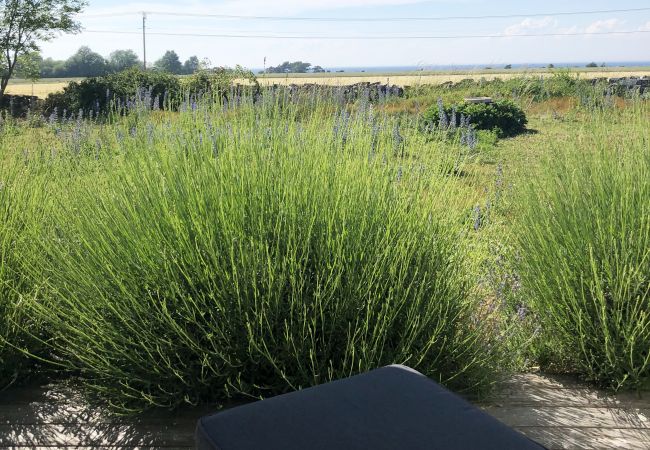 Stuga i Mörbylånga - Trivsam stuga på Öland med panoramautsikt över Kalmarsund | SE04023 Stuga i Mörbylånga - Trivsam stuga på Öland med panoramautsikt över Kalmarsund | SE04023