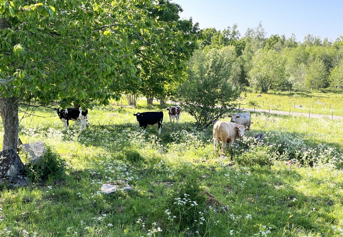 Stuga i Virserum - Äldre mangårdsbyggnad i Virserum med närhet till sjö | SE05034