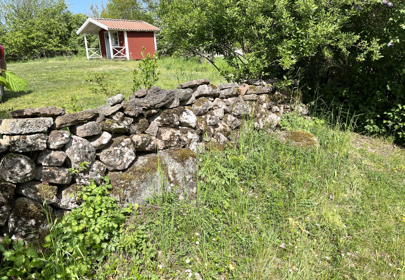 Stuga i Borgholm - Röd liten torpstuga på Öland omgiven av betande får I SE04032