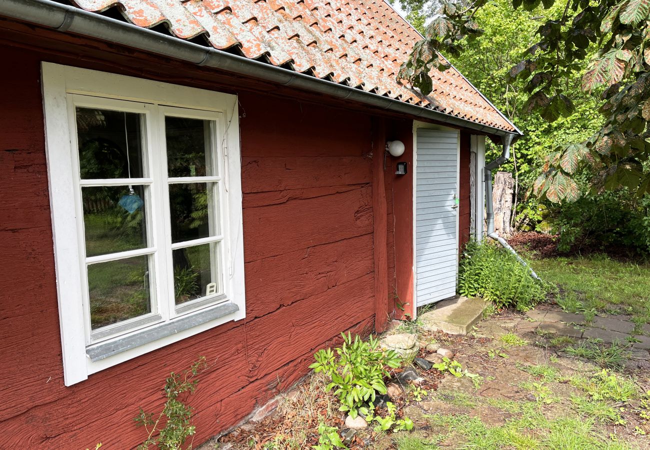 Stuga i Borgholm - Röd liten torpstuga på Öland omgiven av betande får I SE04032