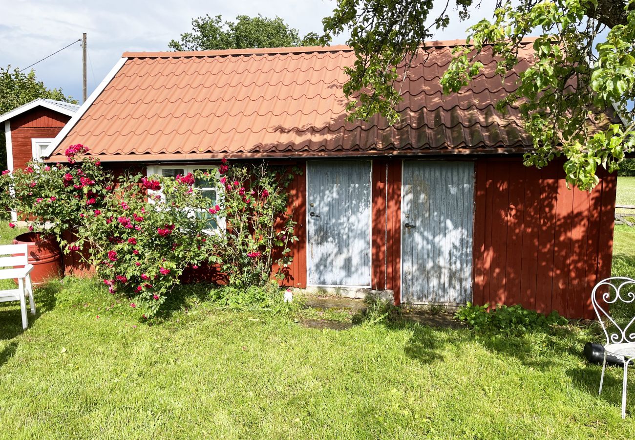 Stuga i Borgholm - Fin stuga på Öland med betande får i omgivningen I SE04033