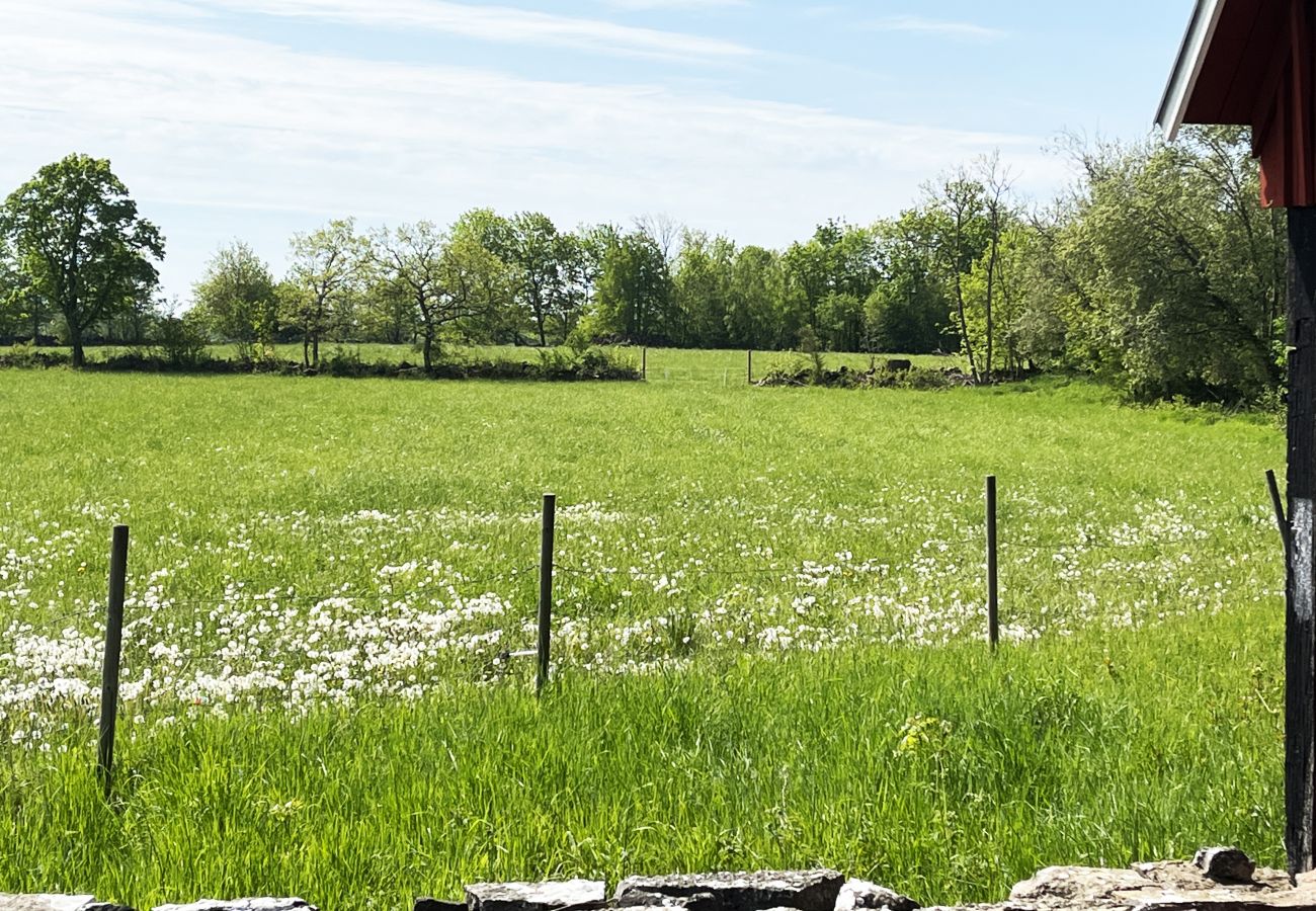 Stuga i Borgholm - Fin stuga på Öland med betande får i omgivningen I SE04033