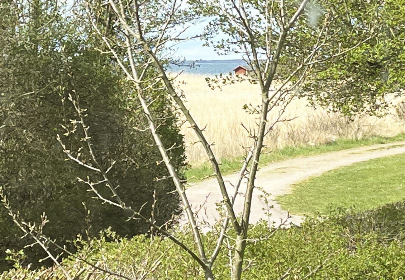 Stuga i Färjestaden - Mysig stuga i Färjestaden med närhet till hav I SE04031
