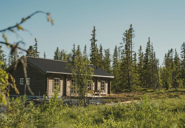 Stuga i Undersåker - Modern semesterstuga i Trillevallen / Åre | SE21005 Stuga i Undersåker - Modern semesterstuga i Trillevallen / Åre | SE21005