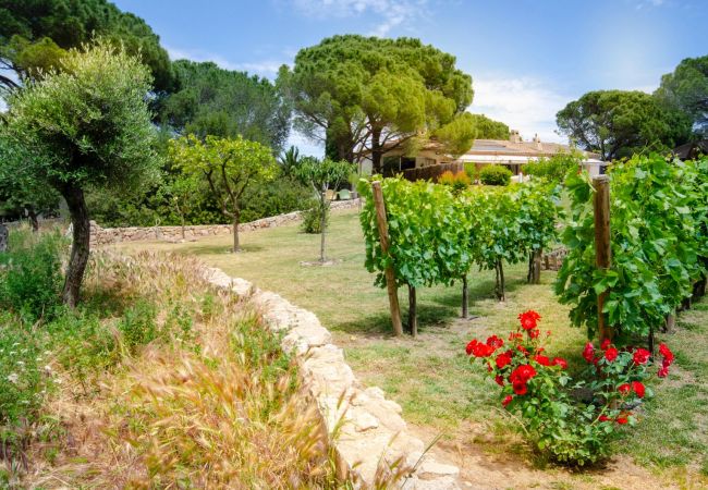 Villa i Roquebrune-sur-Argens - Villa Siena - Etoiles du Sud