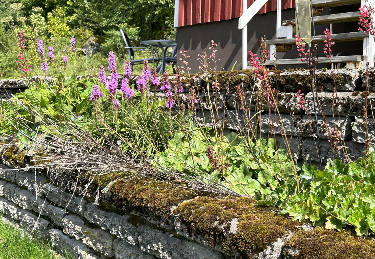 Stuga i Högsäter - Mysig stuga vid Kroppefjäll i Högsäter | SE17012