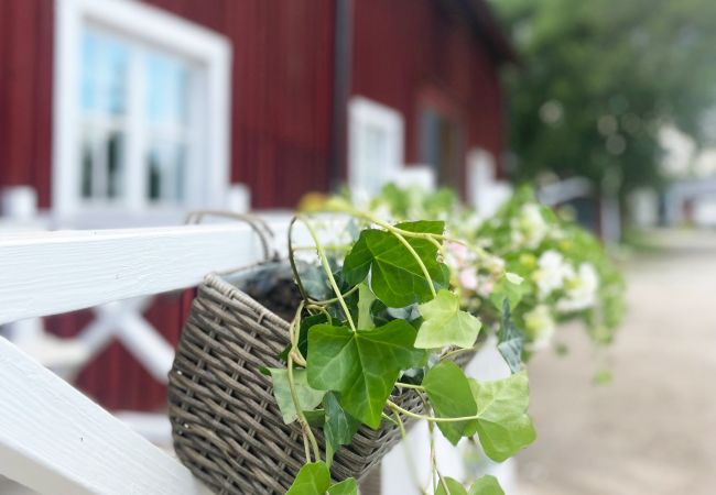 Lägenhet i Storvik - Semesterlägenhet i Storvik nära till skidåkning och fiske | SE20006