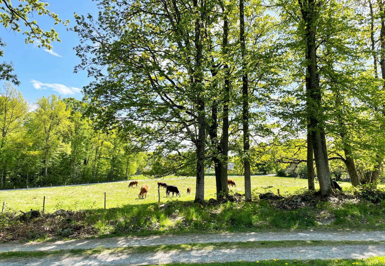 Stuga i Lönashult - Trevlig stuga utanför Lönashult nära sjön Övden | SE06058