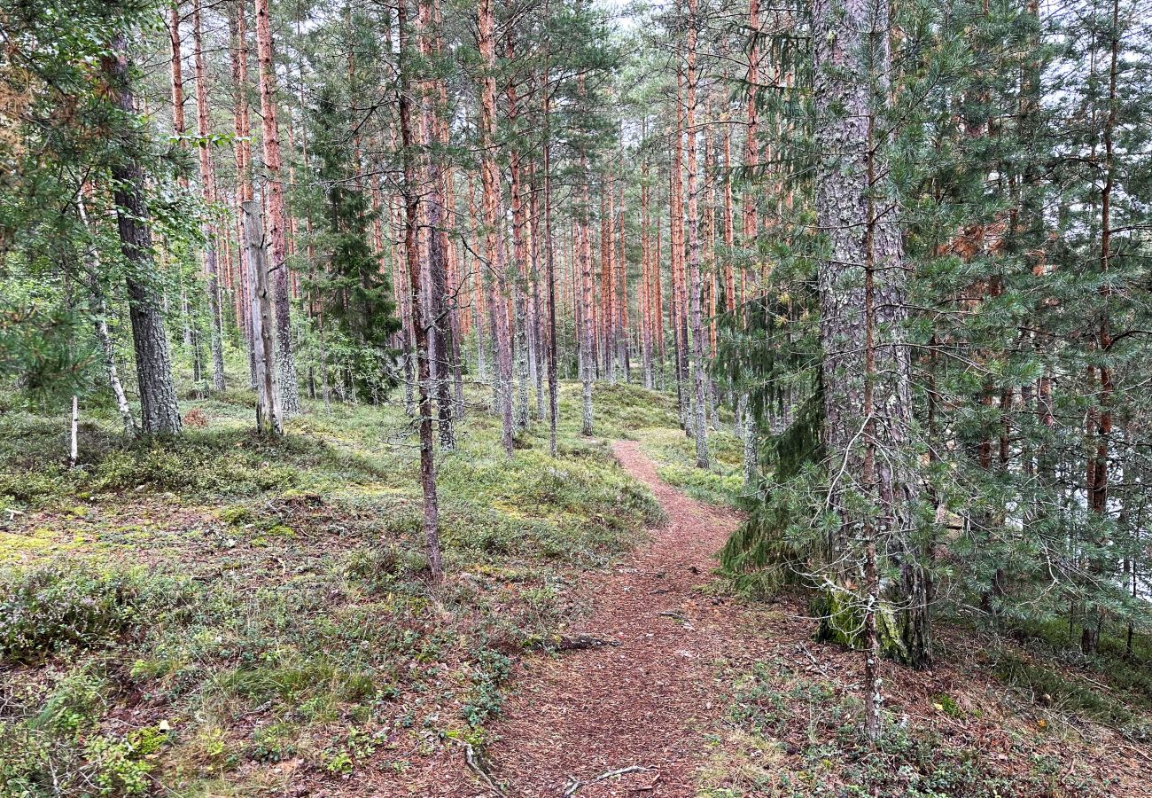 Stuga i Nås - Vildmarkstuga i Nås nära Västerdalälven | SE19001
