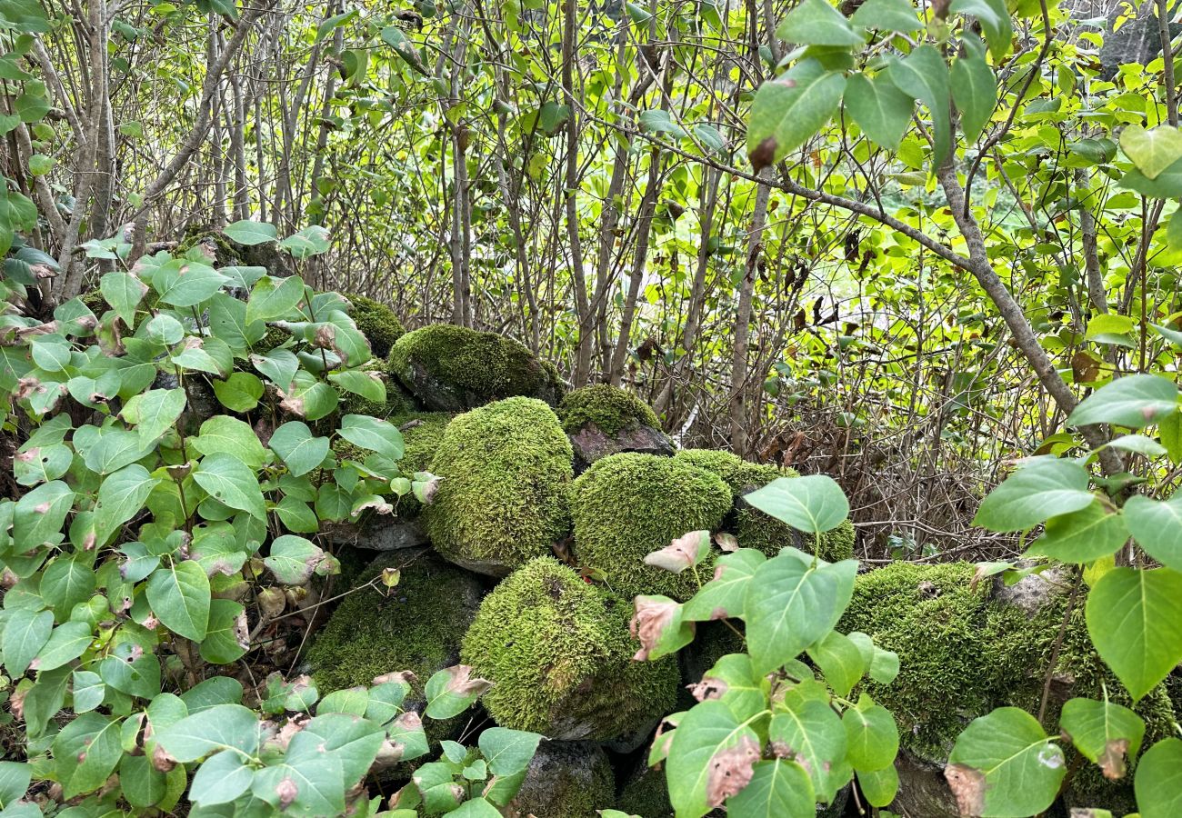 Stuga i Fjällbacka - Staynordic | Mysig stuga i skogsbrynet nära Fjällbacka | SE09042